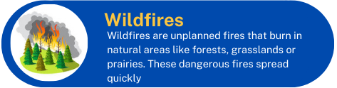 18-wildfires.png